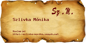 Szlivka Mónika névjegykártya